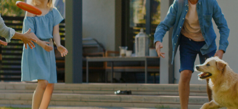people playing frisbee with a dog
